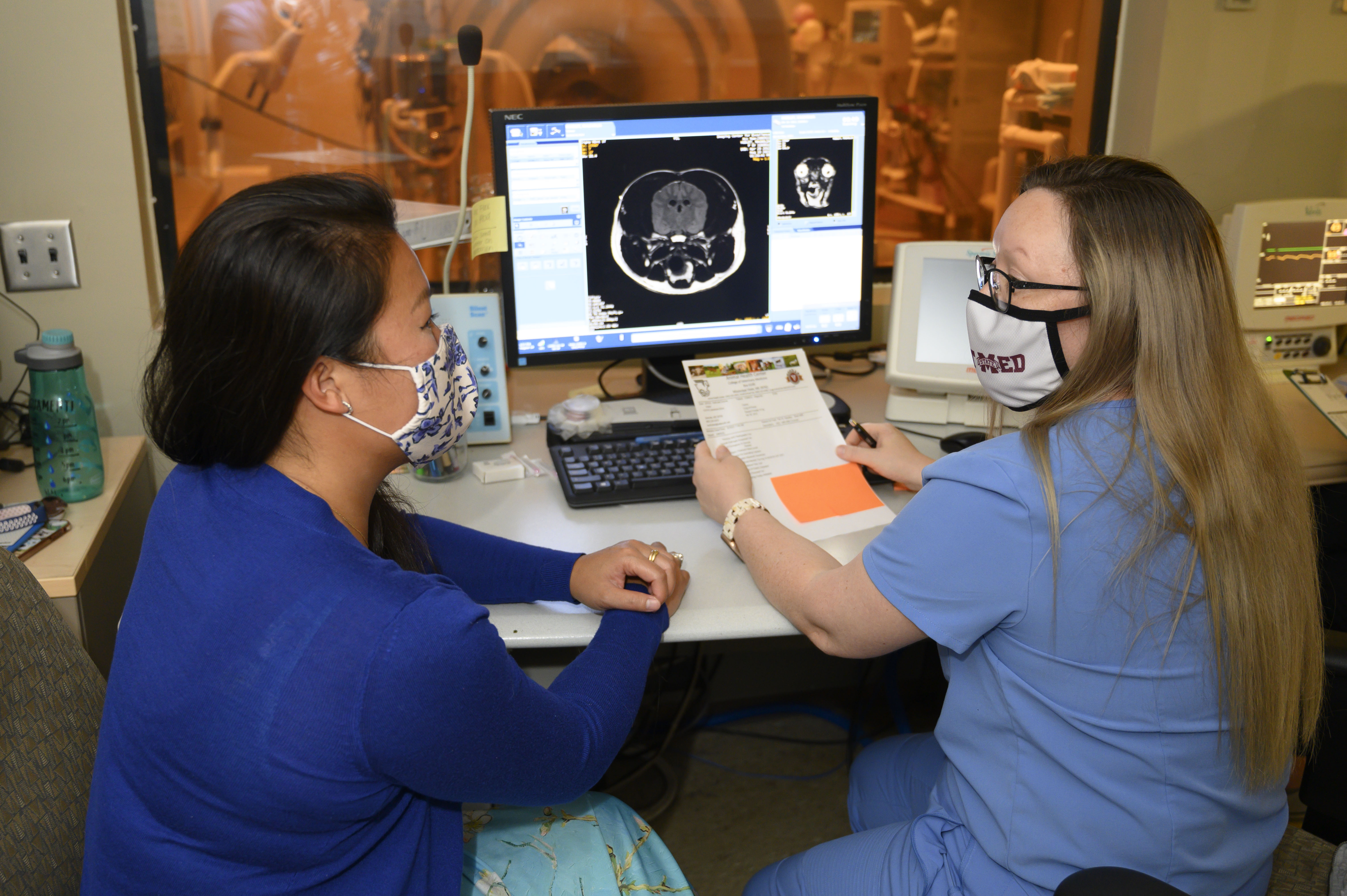 Two veterinarians examine MRI results 