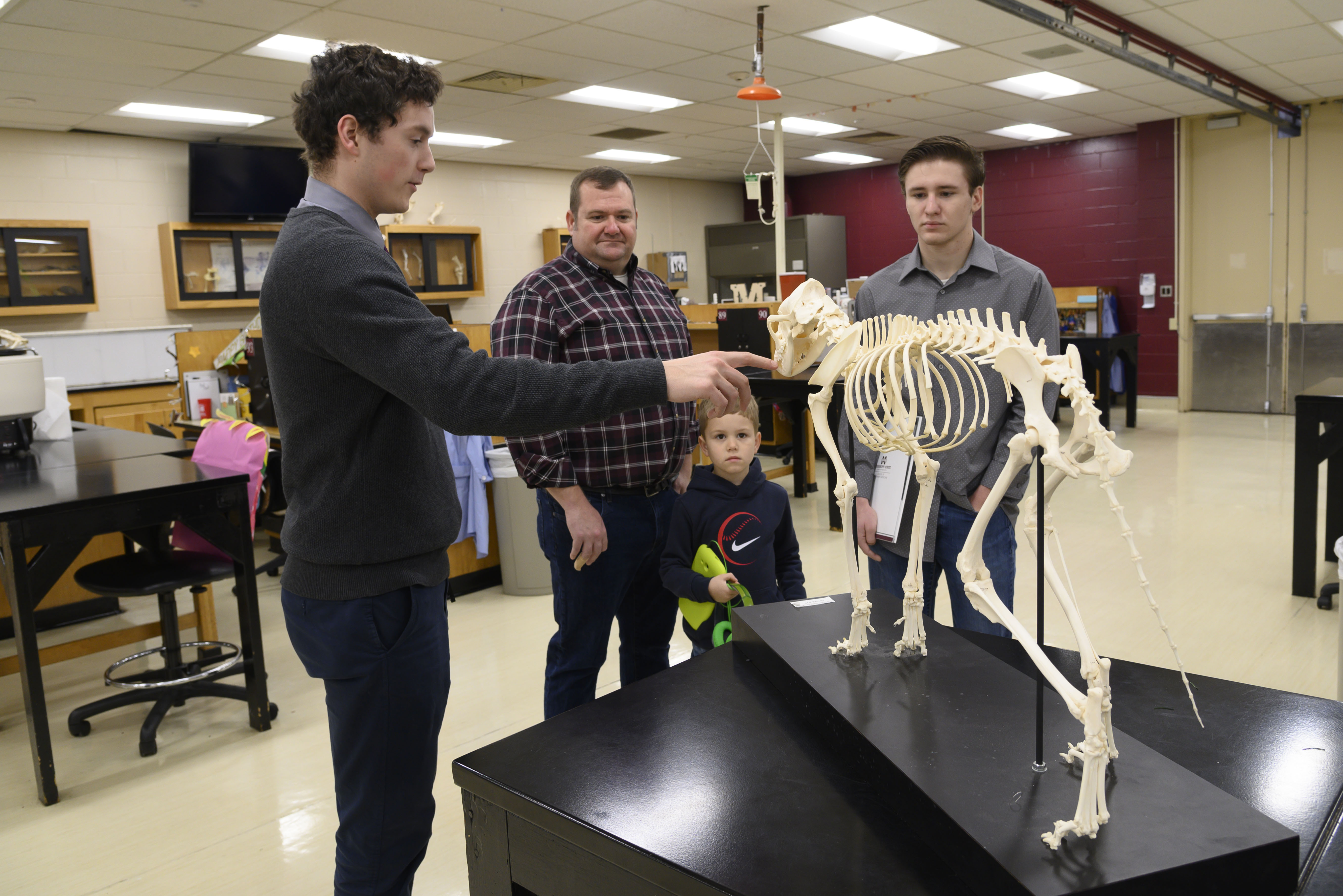 A prospective student and father look at a horse skeleton model