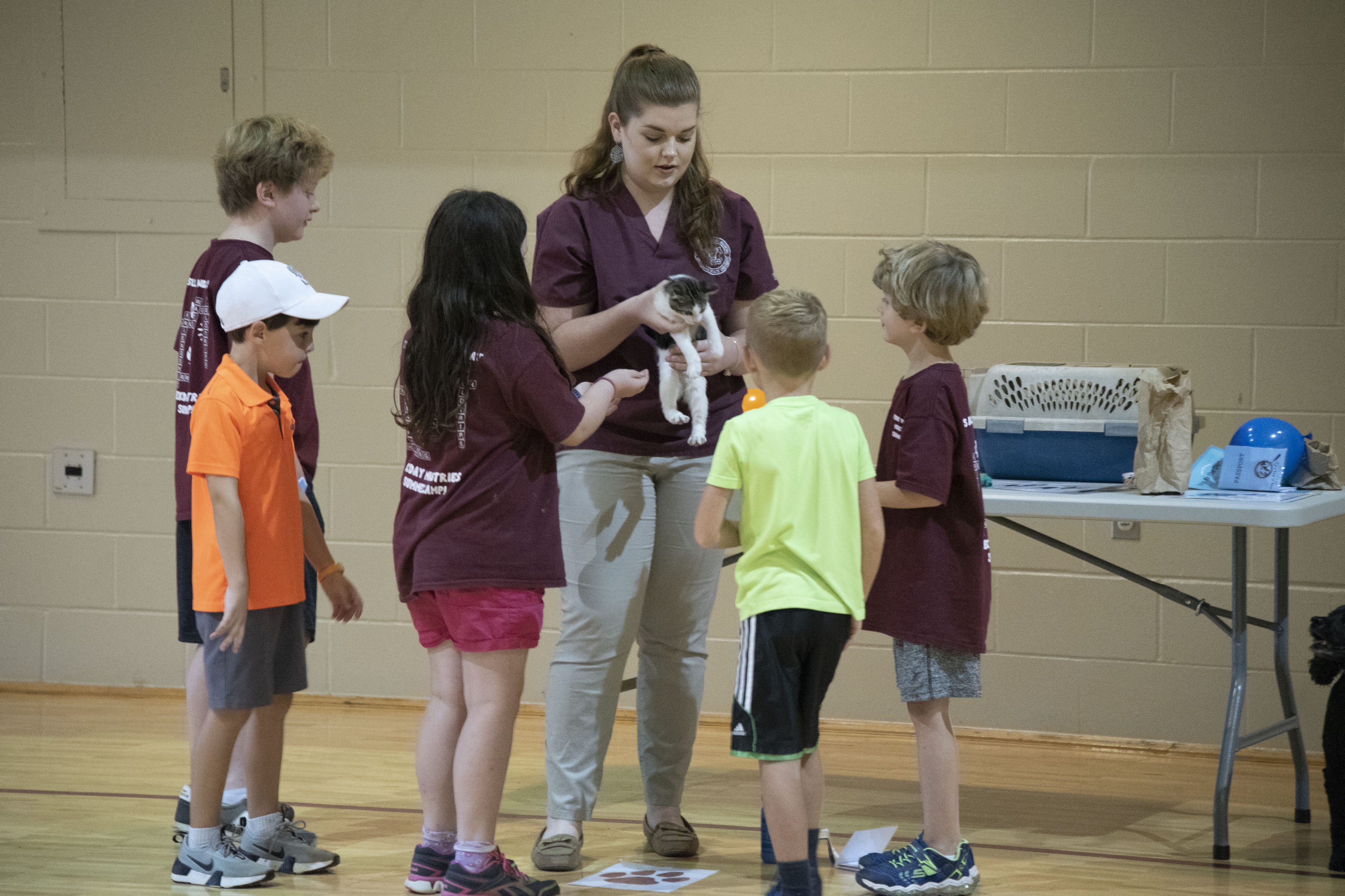Young students observe a kitten