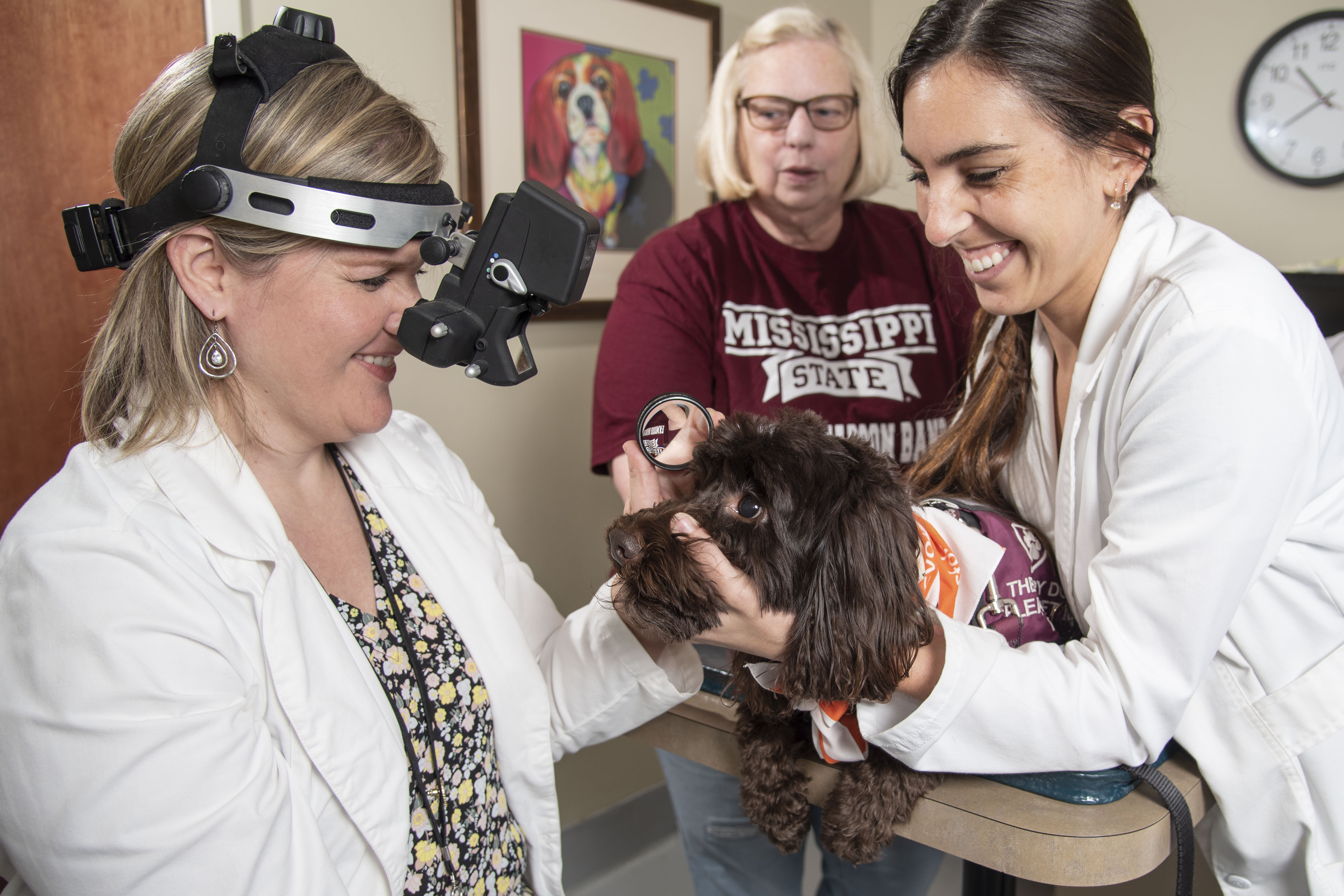 Two veterinary ophthalmologists examine a dog