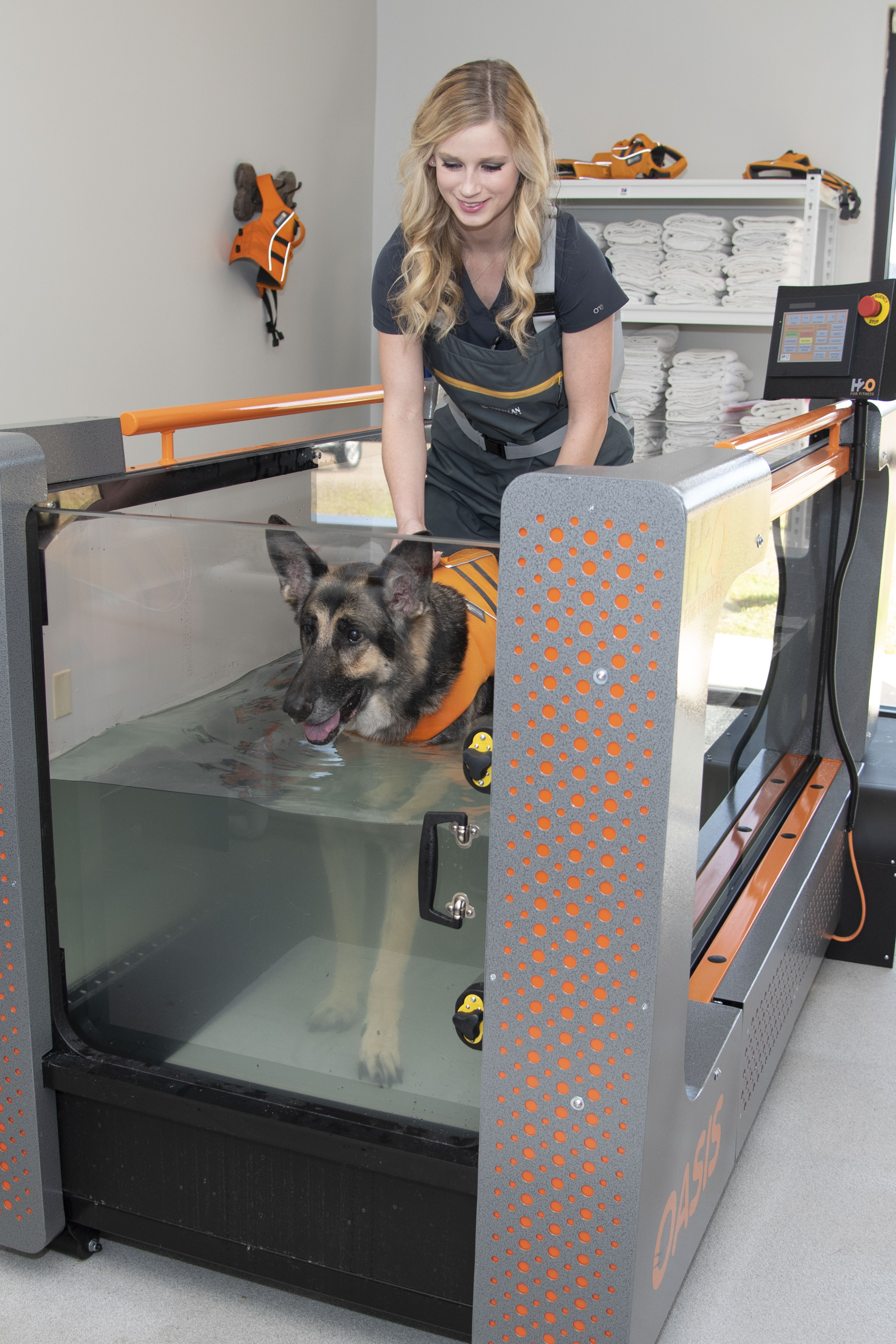 A veterinary technician guides a German Shepherd on the underwater treadmill 