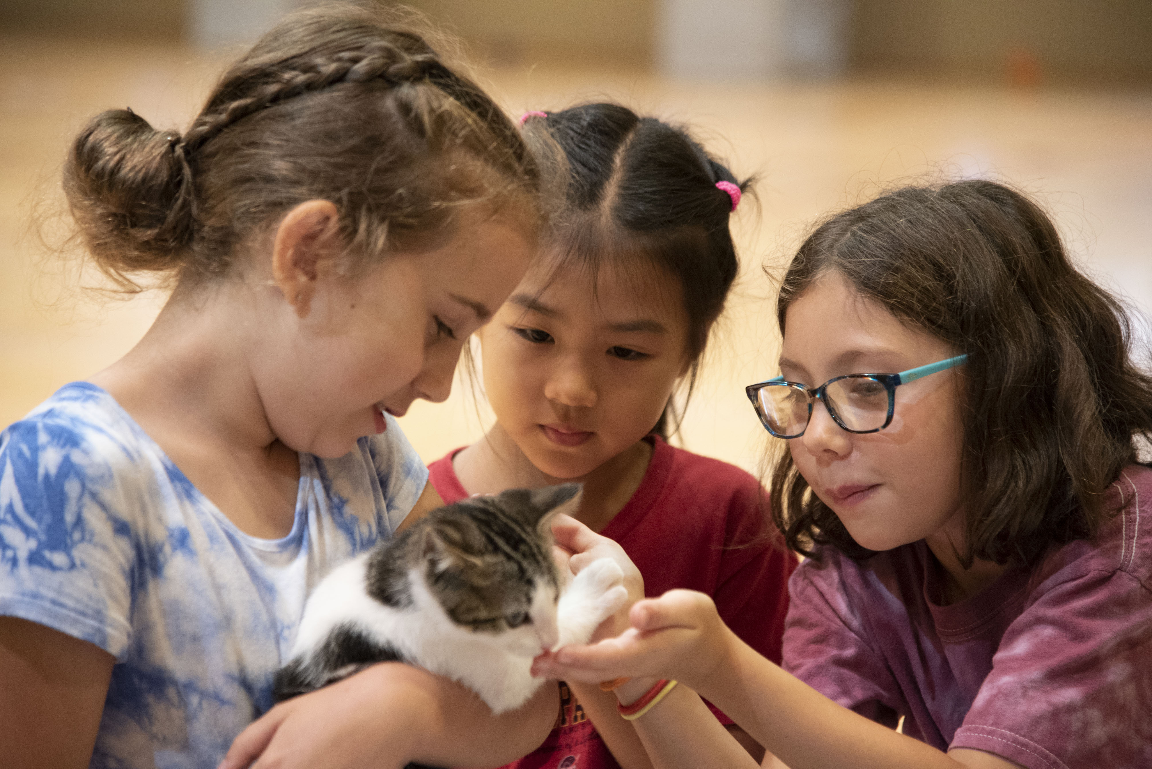 Three young students hold and observe a kitten