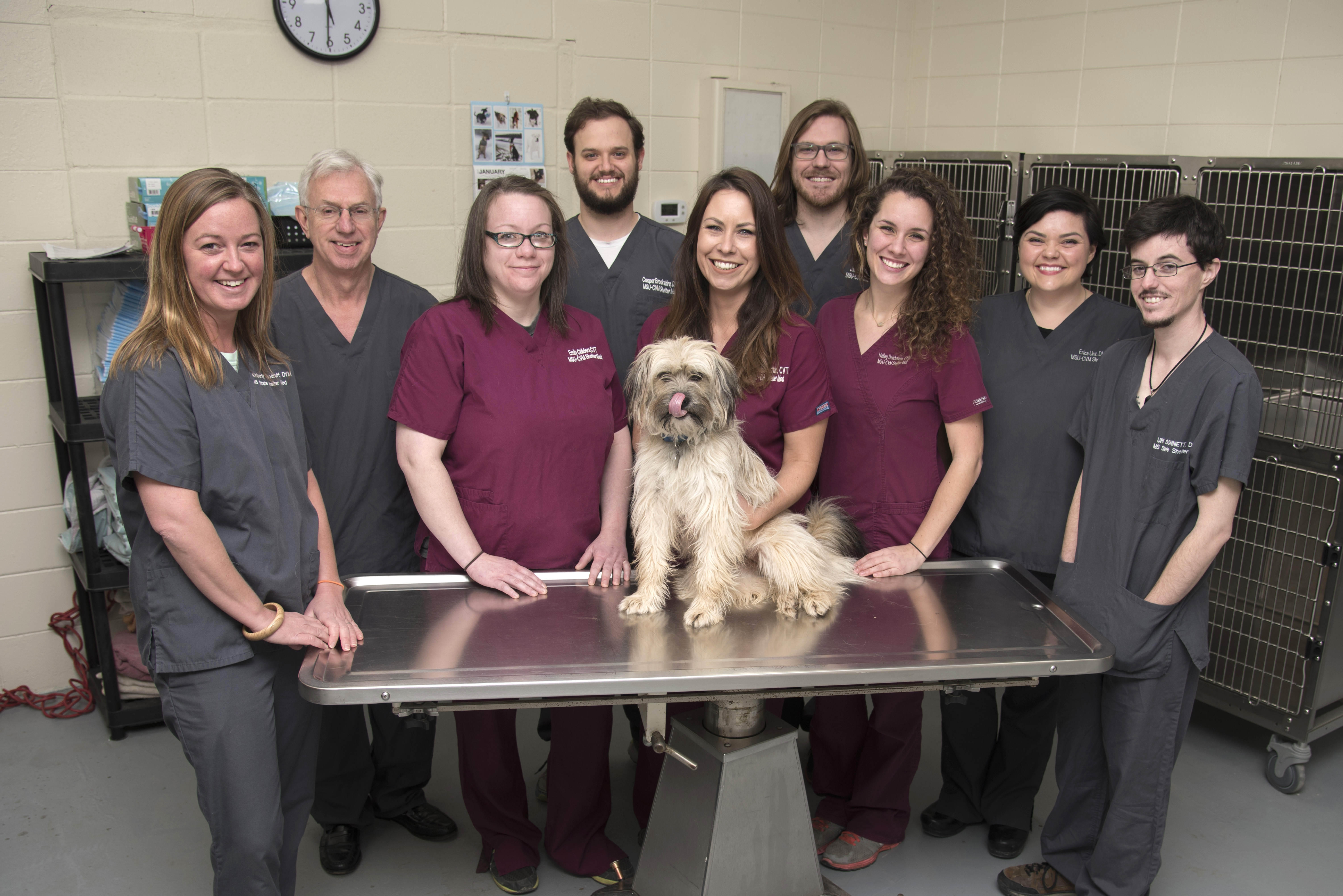 Veterinarians and technicians pose with a shelter dog