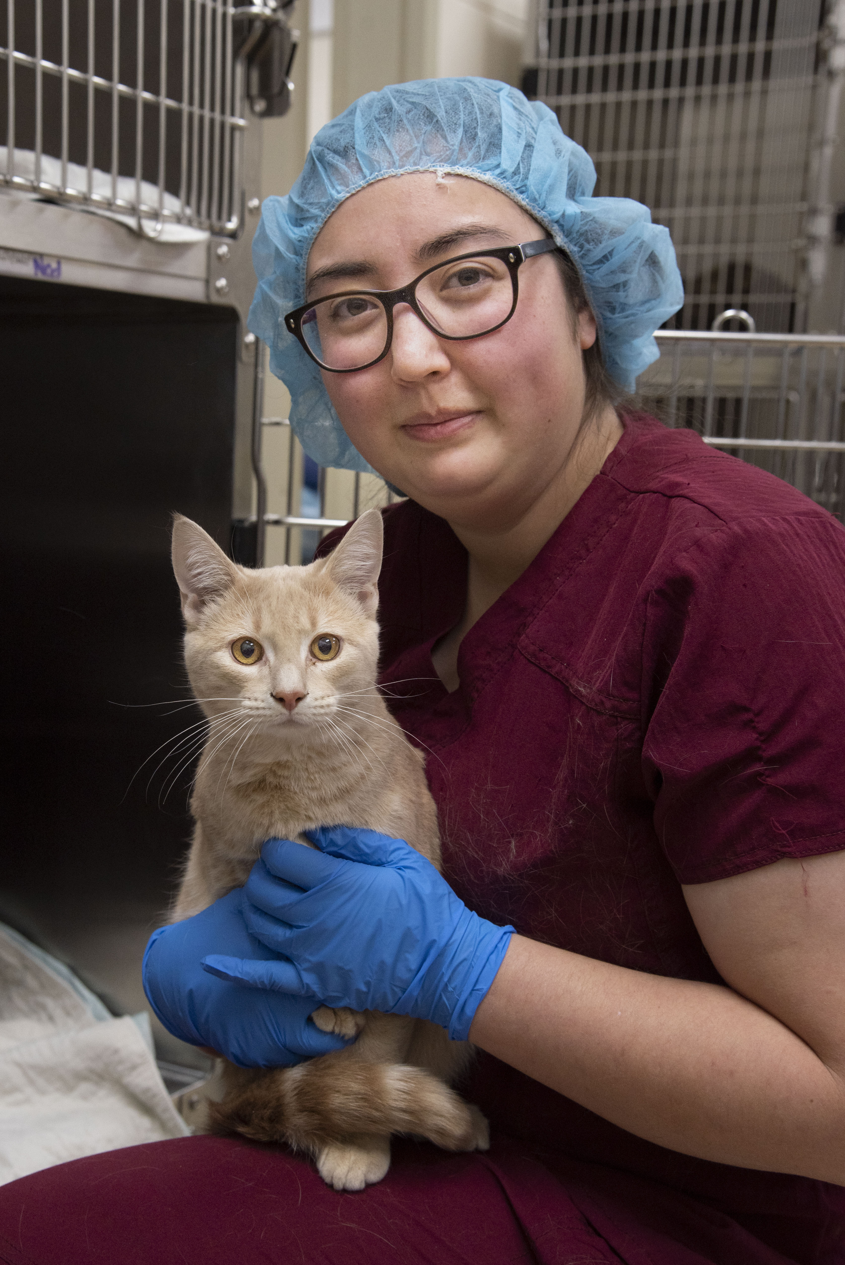 A veterinary student poses with a cat